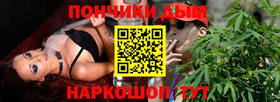 jwh Бийск