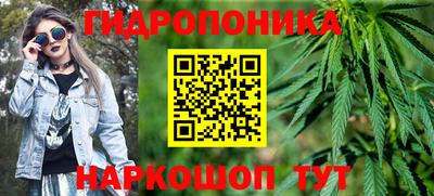 jwh Бийск