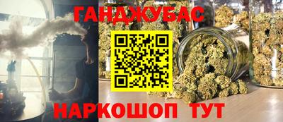 jwh Бийск
