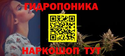 jwh Бийск