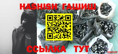 jwh Бийск