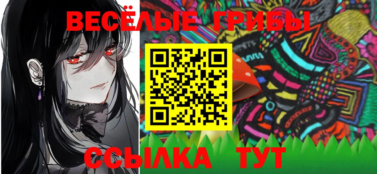 Галлюциногенные грибы Psilocybe Керчь