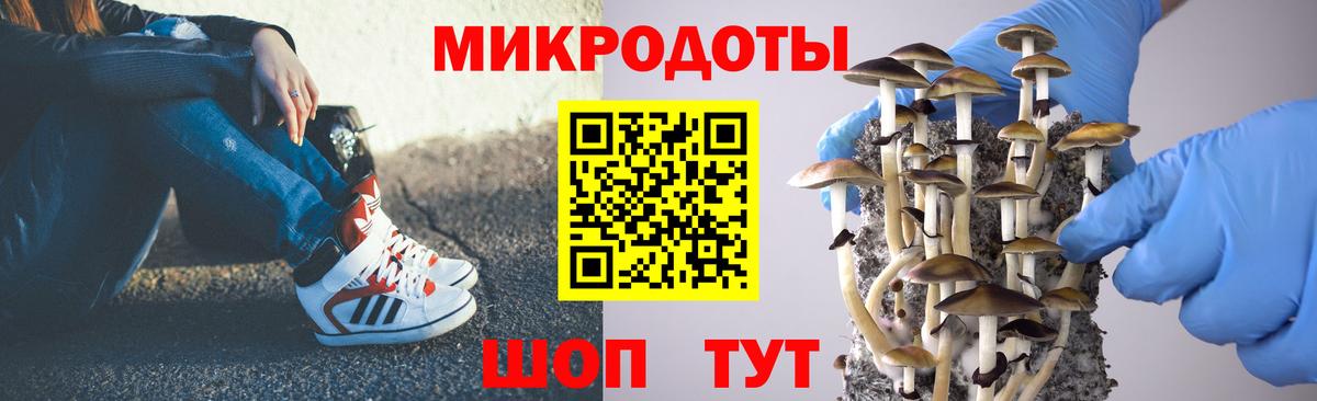 Галлюциногенные грибы Cubensis  Вход с VPN  Керчь 